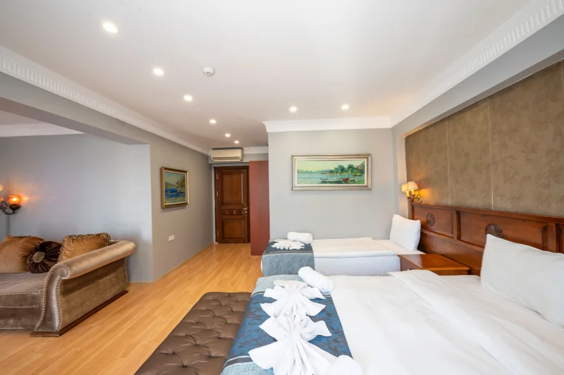 Deluxe Suite Room